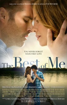 The Best Of Me  (2014)